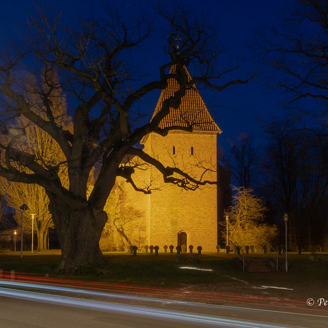 Low Light - Fotografie der tausendjährigen Eiche in Hittbergen.